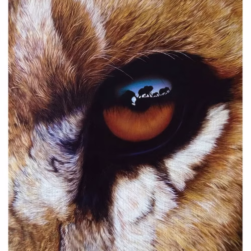 8870c2b8-8fec-4bbe-81ed-33113aa76347 Lioness' Eye Art Print